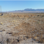 Isom Property in Mineral County, Nevada.